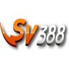 SolidPlay88 Agen Adu Ayam Live Sv388 Terbaik